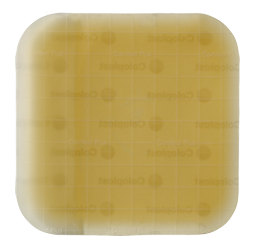 Coloplast 3146 Comfeel Plus Ulcer Dressing, 1-1/2" x 2-1/2" (4cm x 6cm) - Owl Medical Supplies