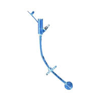 CHS 0110-22 MIC Bolus Gastrostomy Feeding Tube, 7 to 10mL Balloon