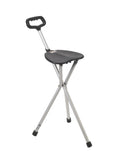 Drive Medical 10365 Folding Lightweight Cane Seat, Silver - Owl Medical Supplies