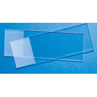 Cardinal Health 301437 Microscope Slide, Economy Nonselect, Frosted