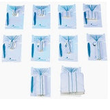 Neuro Sponges Patties