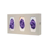 Glove Box Dispenser, Triple, with Dividers, Beige Plastic